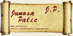 Junoša Palić vizit kartica